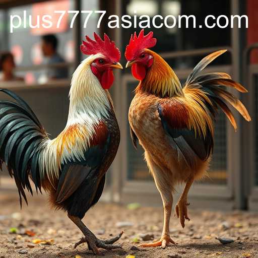 Plus7777 Asia